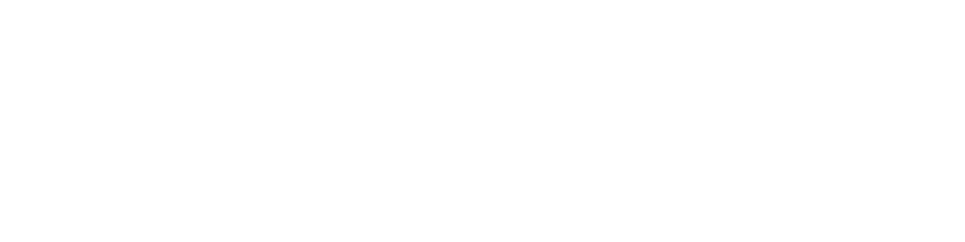 Hilo Aviation Logo